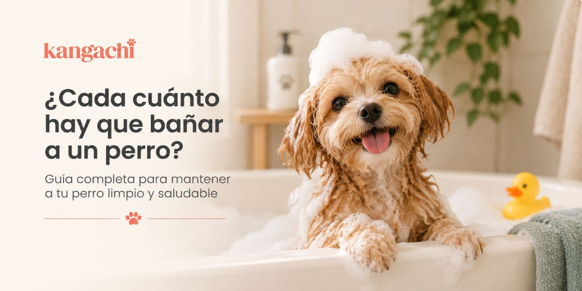 Perro pequeño durante el baño para cuidar su higiene y pelaje