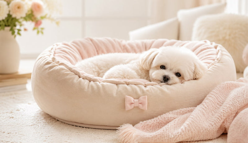 camas para perros pequeños
