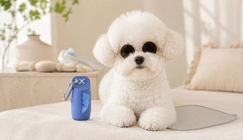 Accesorios para perros pequeños Kangachi