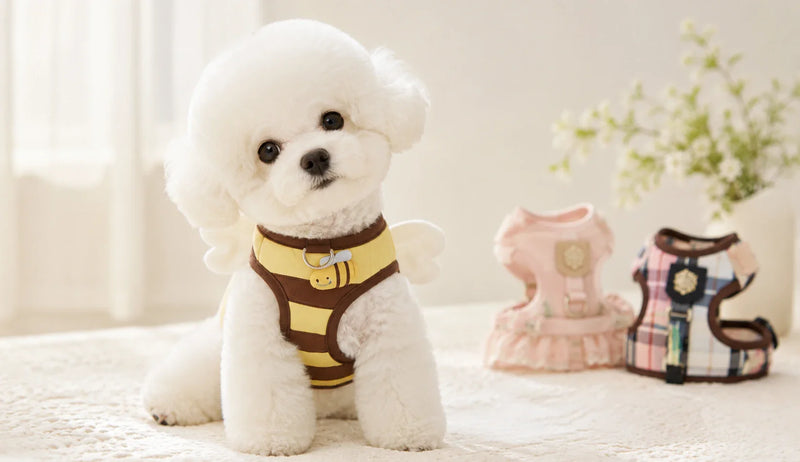 Arneses para perros pequeños Kangachi