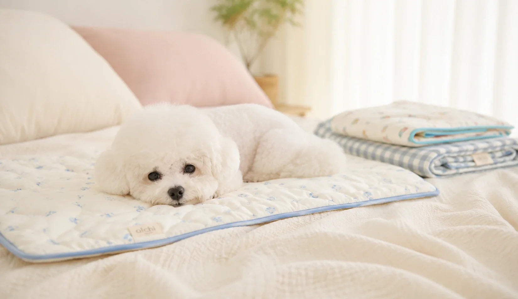 Camas para perros pequeños Kangachi