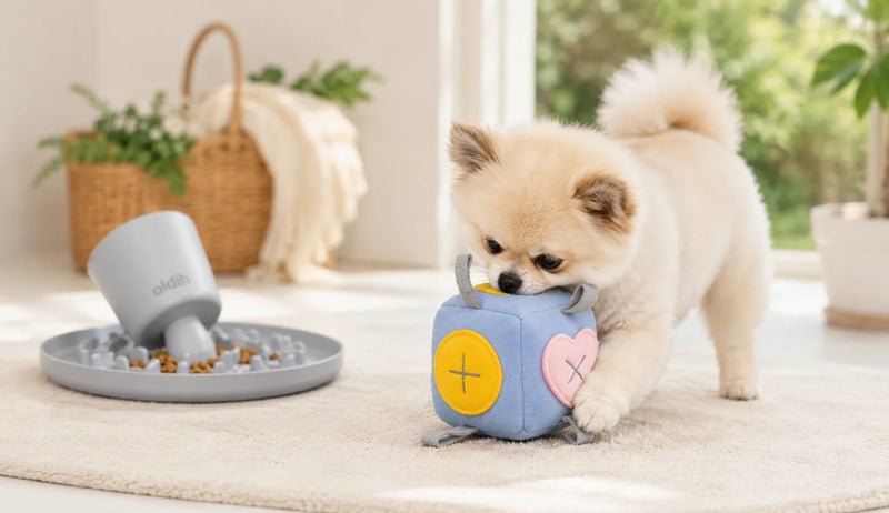 Juguetes para perros pequeños Kangachi