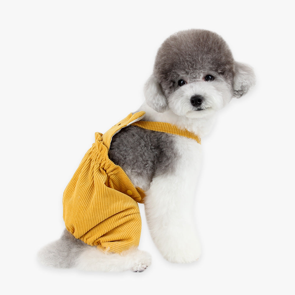 Bear Dungarees – Because Your Pup Deserves to Be Adorable!