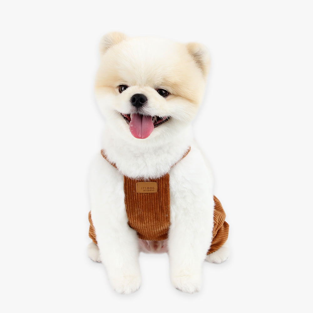 Bear Dungarees – Because Your Pup Deserves to Be Adorable!