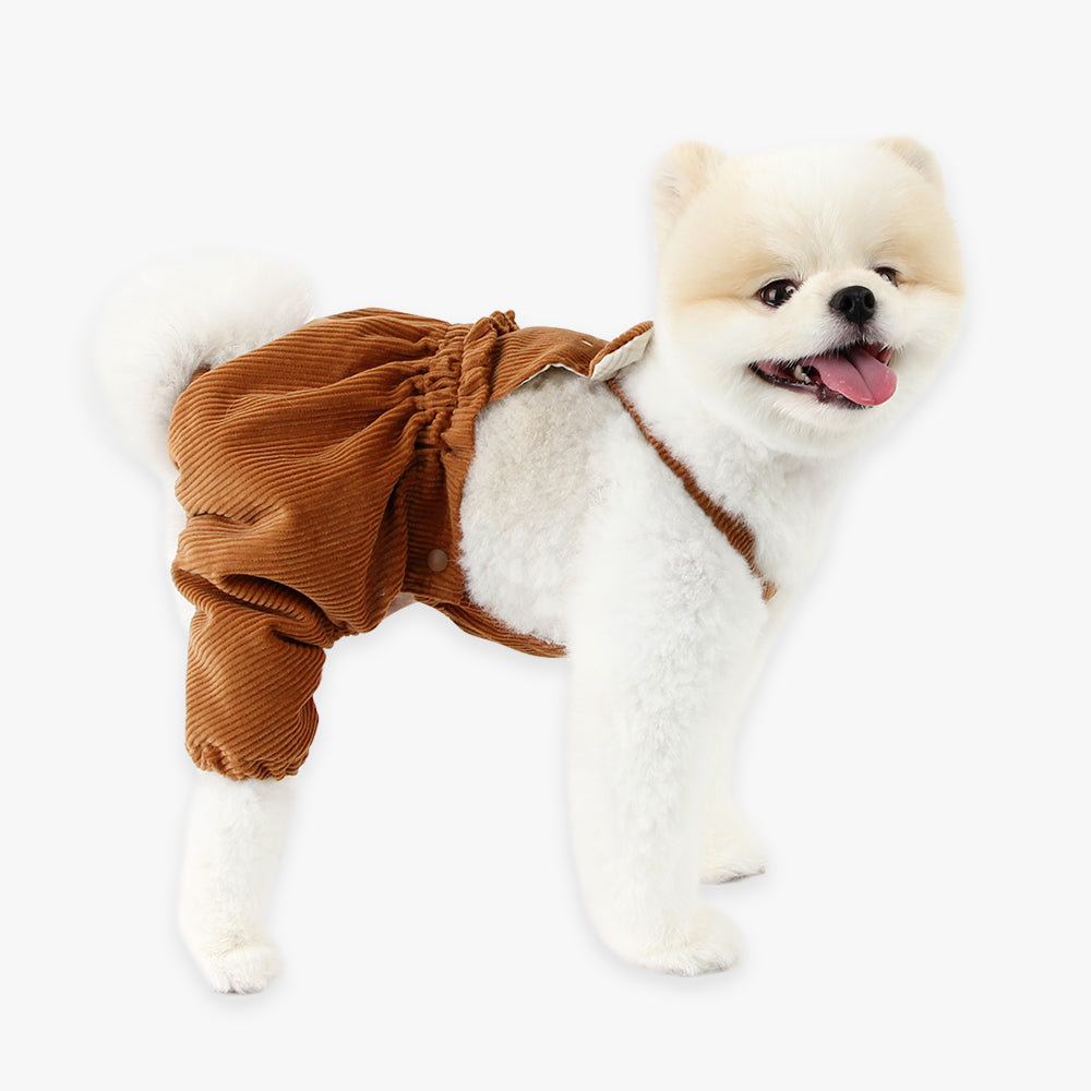 Bear Dungarees – Because Your Pup Deserves to Be Adorable!