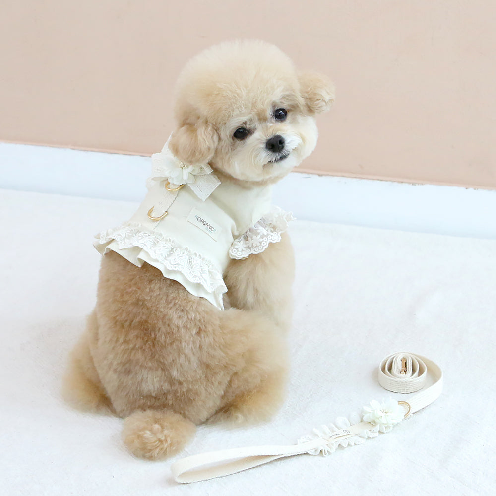 Organic Flora Harness - BG