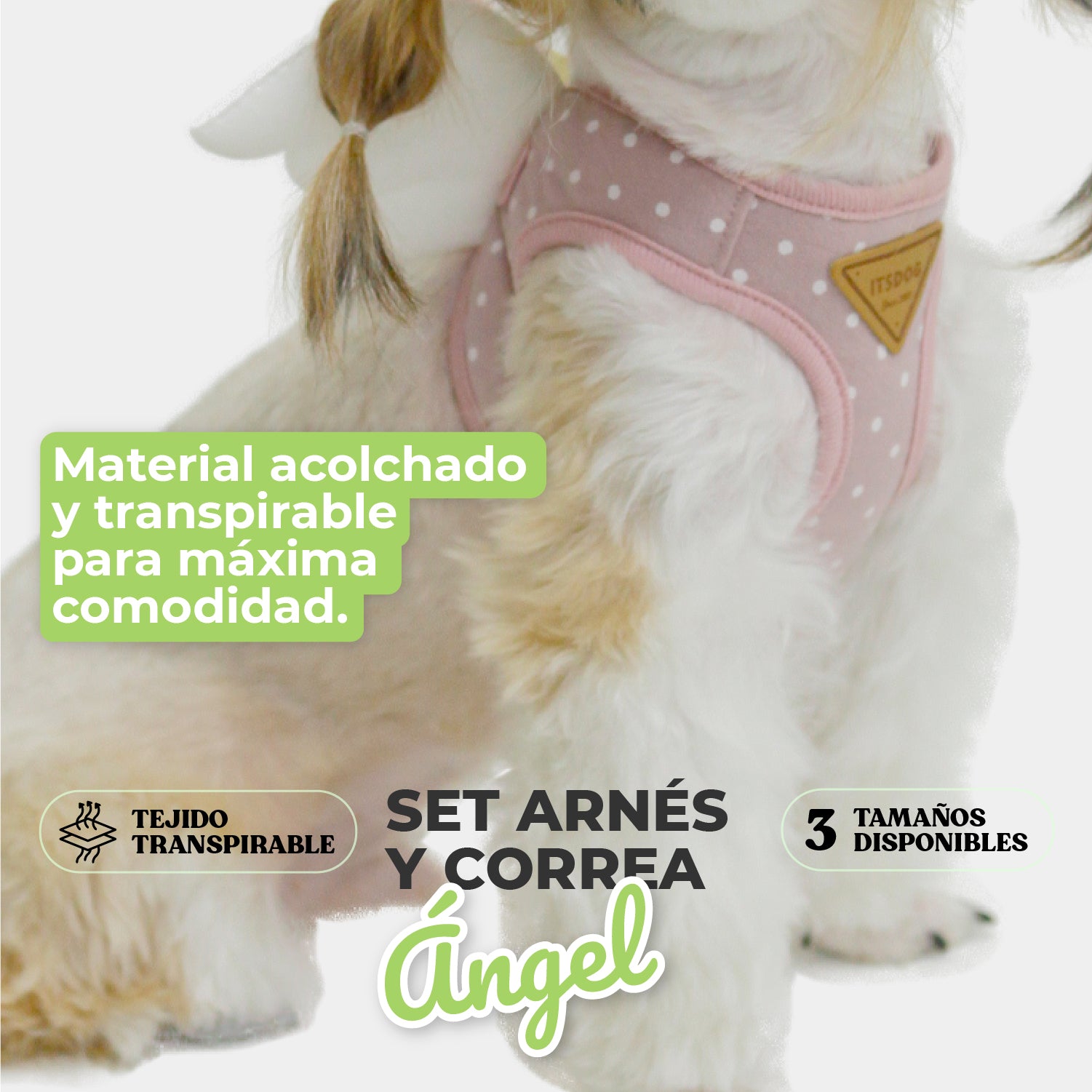Arnes angel con Diseño angelical, ligero, cómodo y elegante 