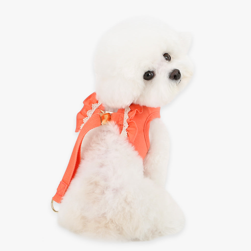 Daisy Frill Harness - Coral