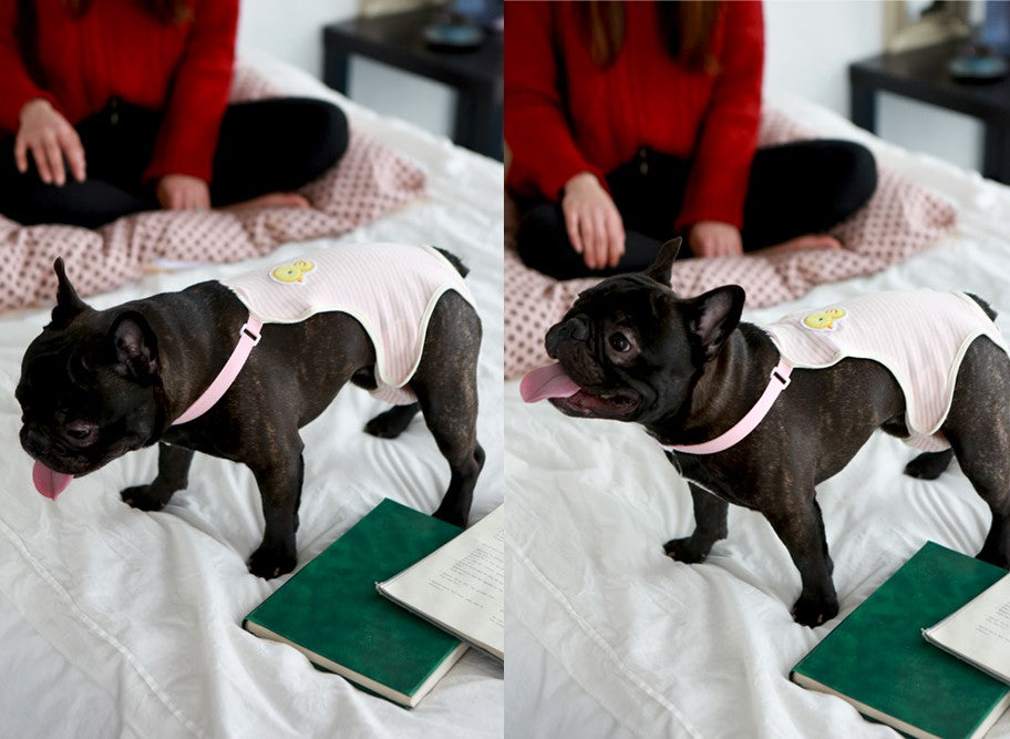 Organic Female Dog Diaper
