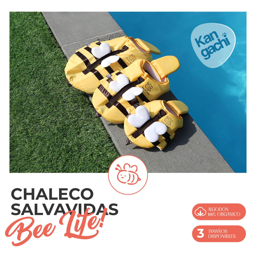 Chaleco Salvavidas Abeja Guardiana con Asa de Rescate para Perro