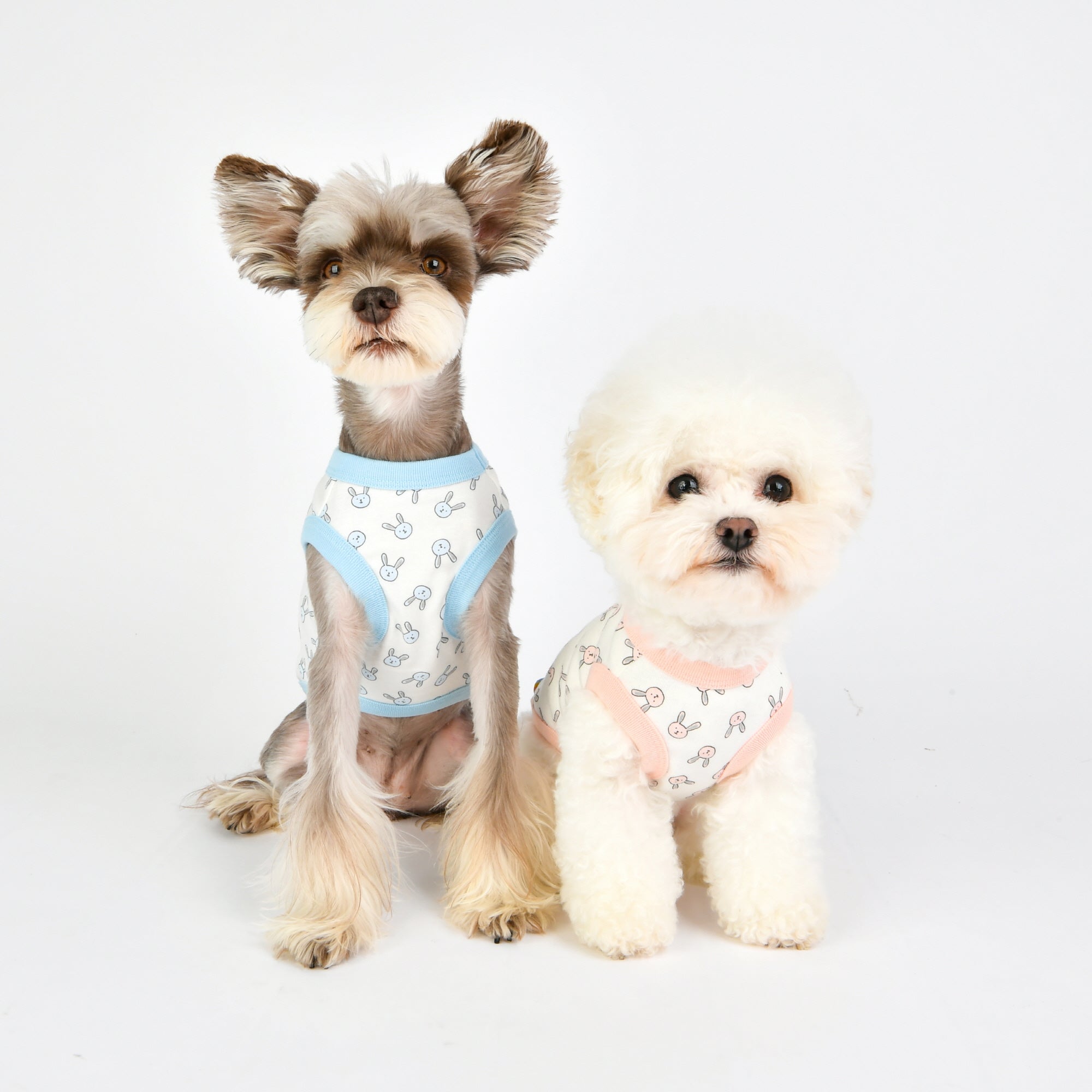 camiseta algodon con estampado conejitos bonita a la vez que comoda y transpirable 