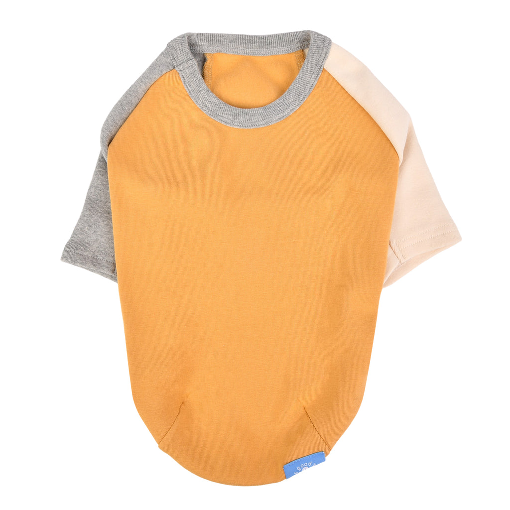 Camiseta Básica Tricolor 100% Algodón para Perro