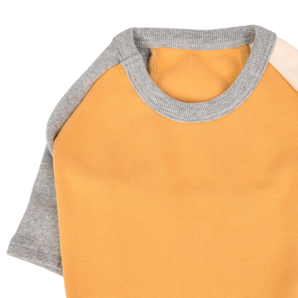 Camiseta Básica Tricolor 100% Algodón para Perro