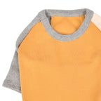 Camiseta Básica Tricolor 100% Algodón para Perro