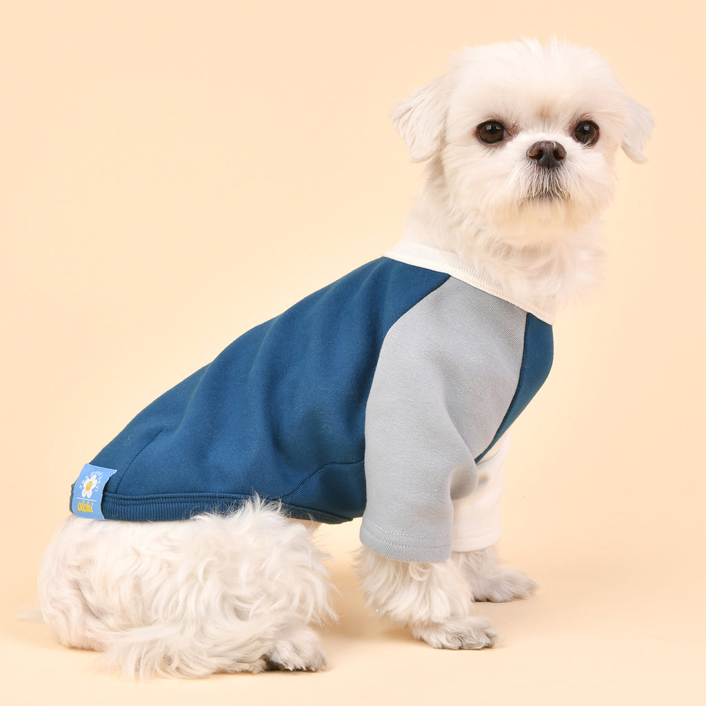 Camiseta Básica Tricolor 100% Algodón para Perro