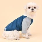 Camiseta Básica Tricolor 100% Algodón para Perro
