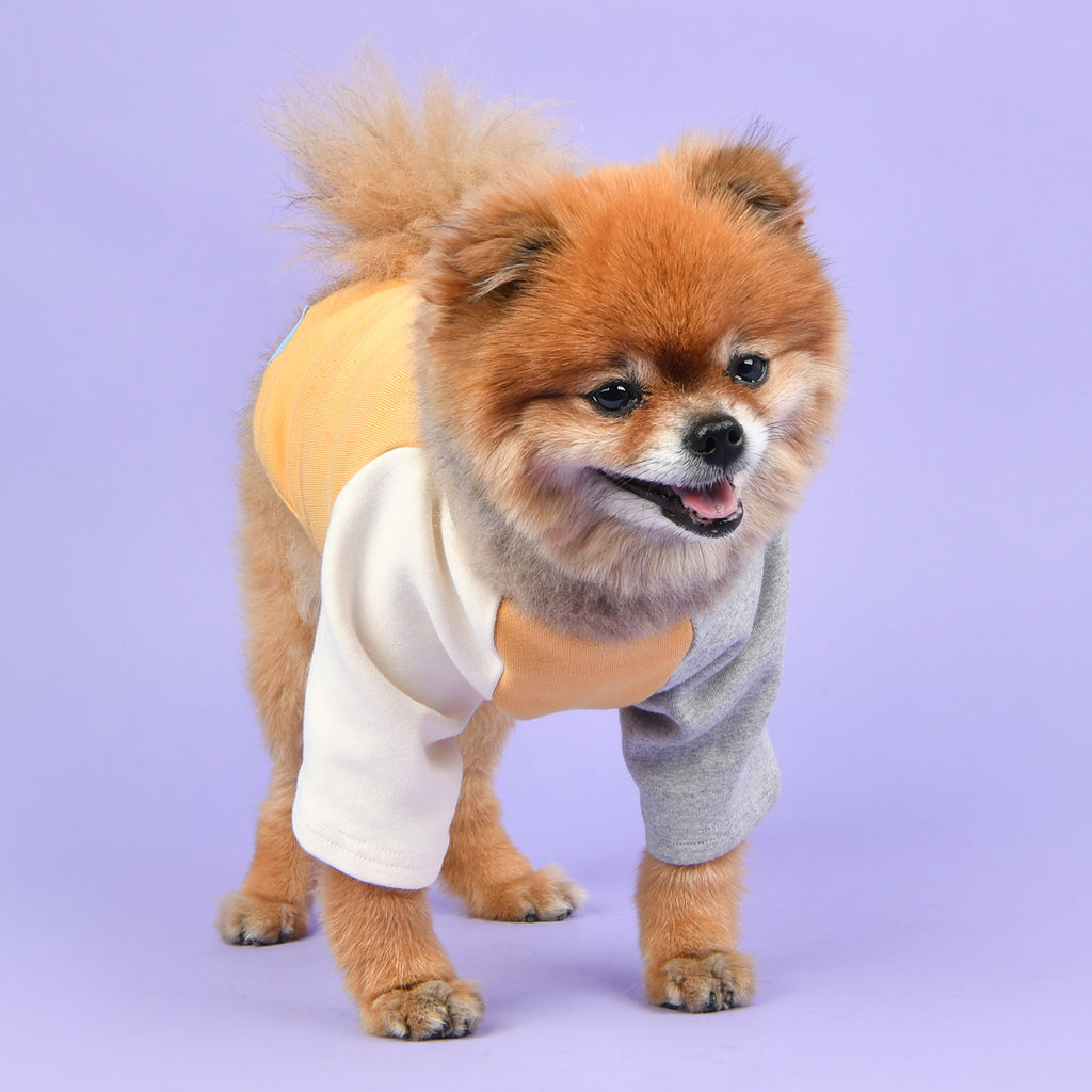 Camiseta Básica Tricolor 100% Algodón para Perro