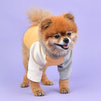 Camiseta Básica Tricolor 100% Algodón para Perro