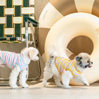 Camiseta Suave de rayas para Perros pequeños .Ligera, Elástica y Muy Cómoda