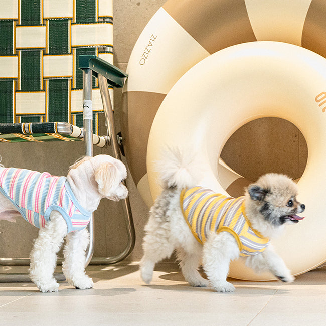 Camiseta Suave de rayas para Perros pequeños .Ligera, Elástica y Muy Cómoda