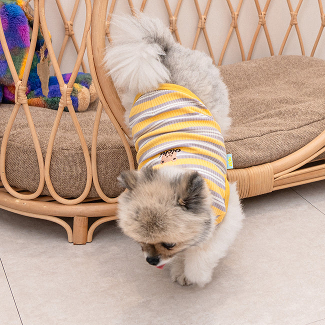 Camiseta Suave de rayas para Perros pequeños .Ligera, Elástica y Muy Cómoda