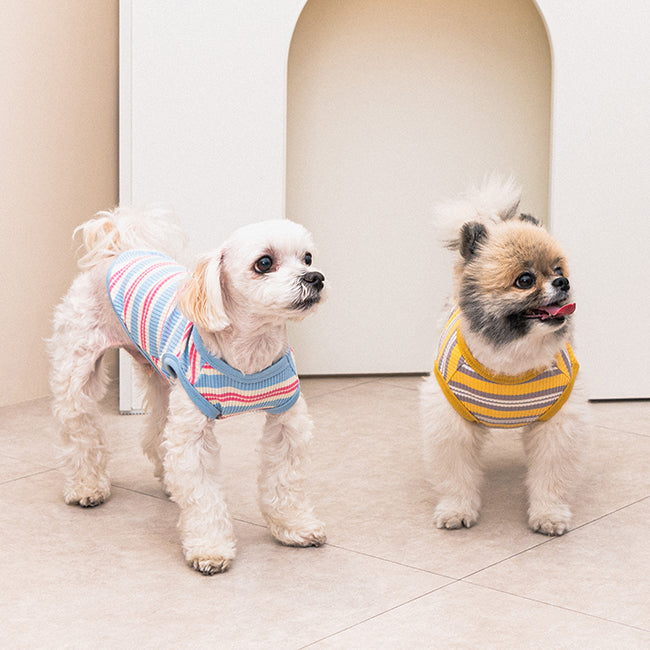 Camiseta Suave de rayas para Perros pequeños .Ligera, Elástica y Muy Cómoda