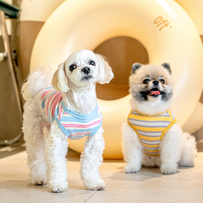Camiseta Suave de rayas para Perros pequeños .Ligera, Elástica y Muy Cómoda