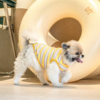 Camiseta Suave de rayas para Perros pequeños .Ligera, Elástica y Muy Cómoda