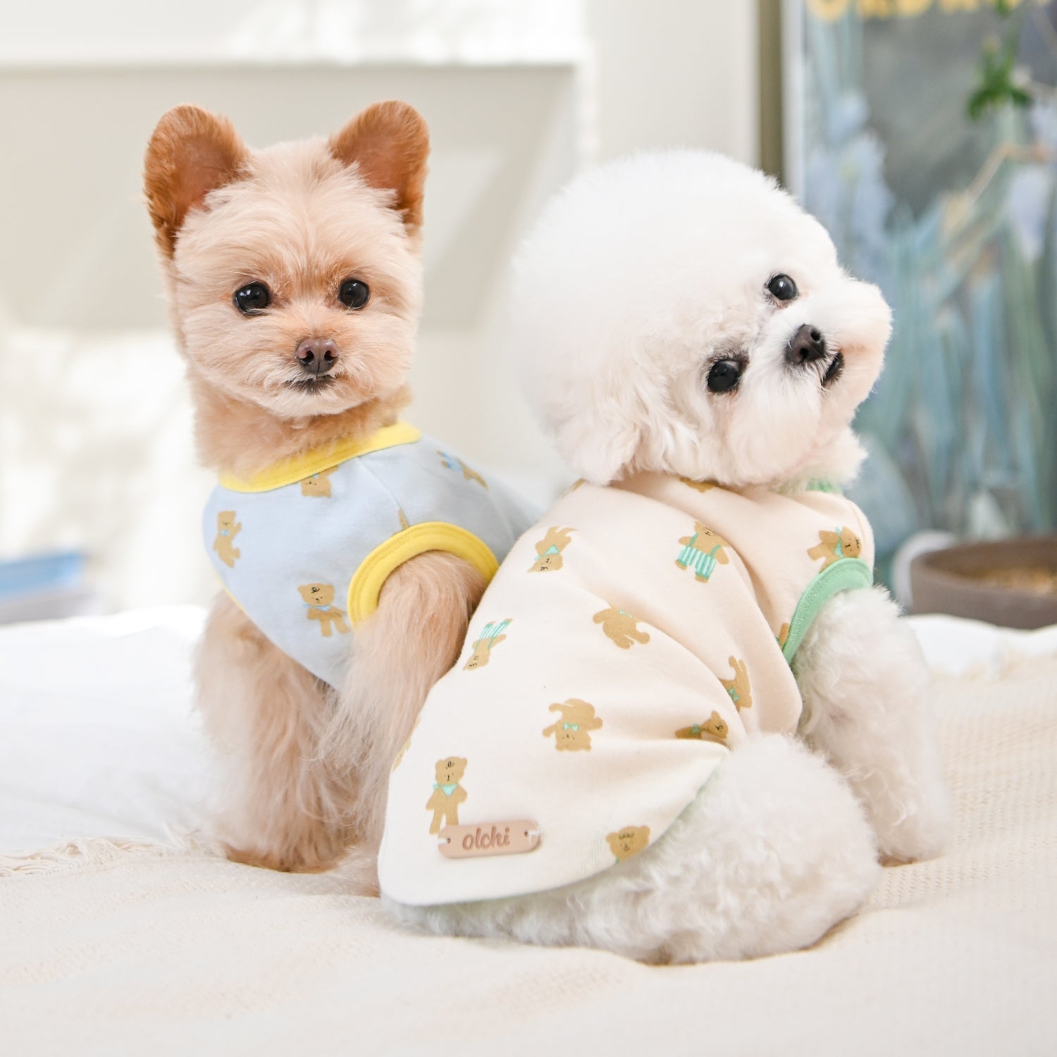camiseta perros pequeños algodon con ositos tierna , comoda y flexible 