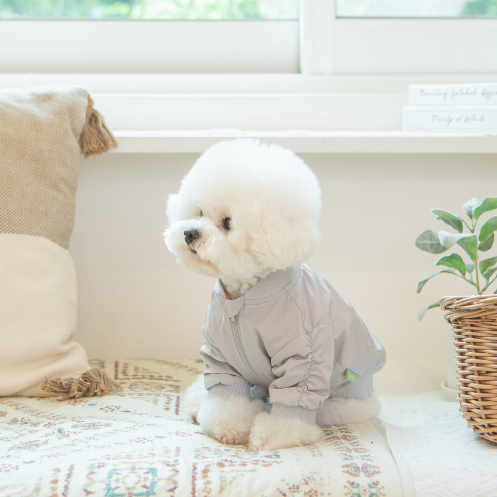 Chaqueta para Perro con Arnés Integrado y Forro de Felpa perro pequeño
