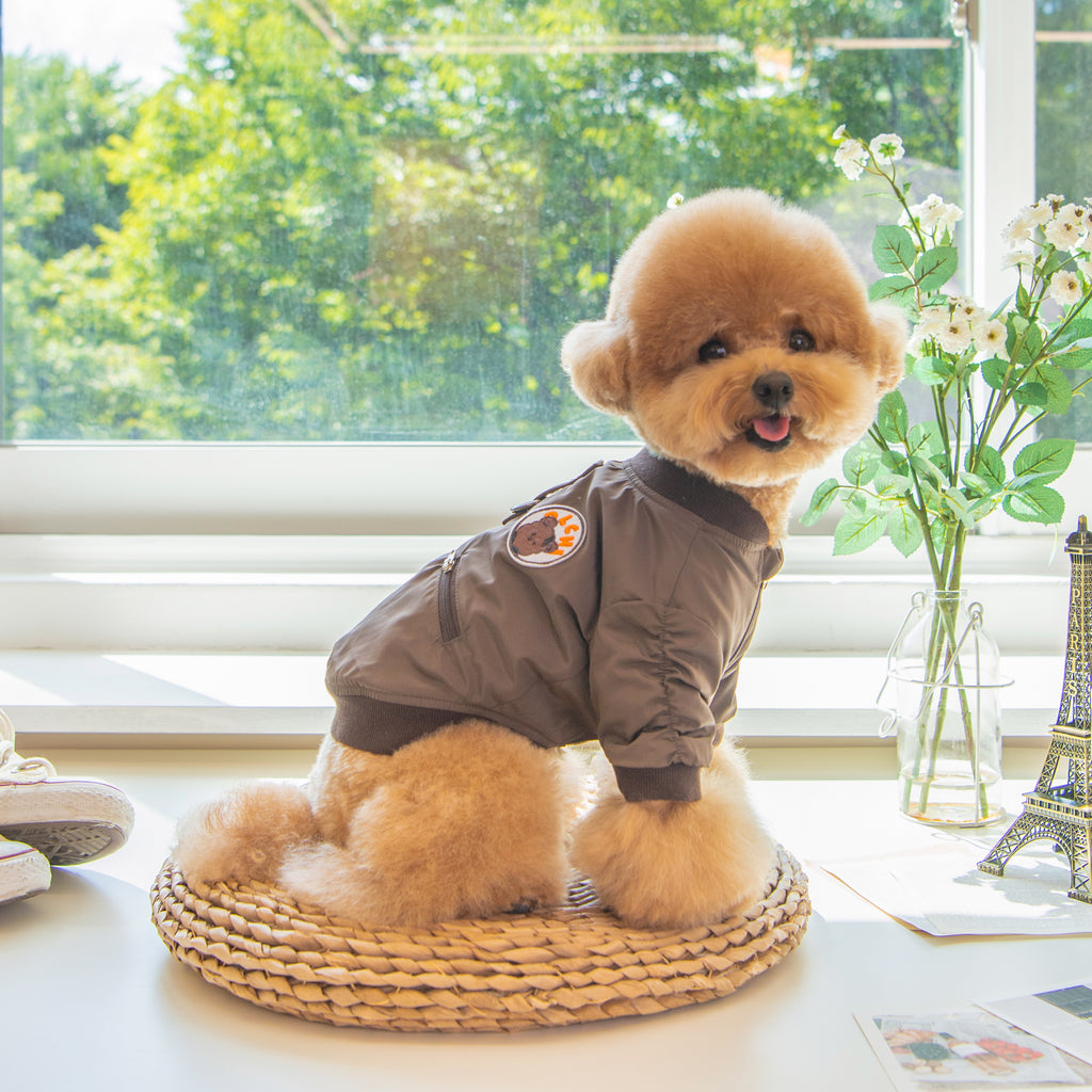 Chaqueta para Perro con Arnés Integrado y Forro de Felpa perro pequeño
