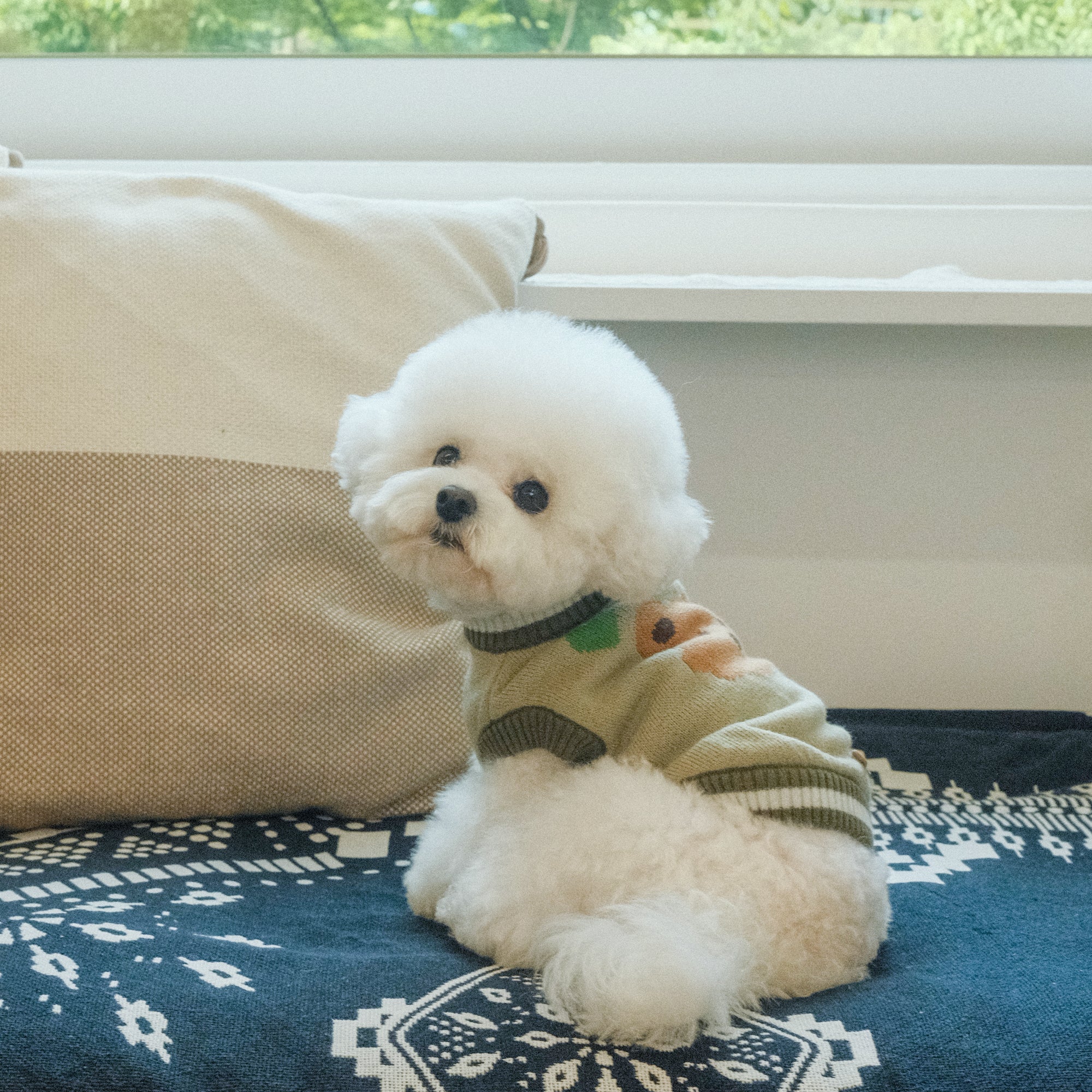 Jersey de punto con animal bordado caliente a la vez que bonito y ponible. Ideal para el frio 