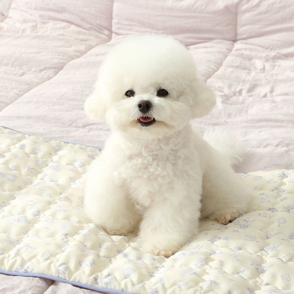 Alfombrilla Refrescante de Seda Fría Petit para Perro