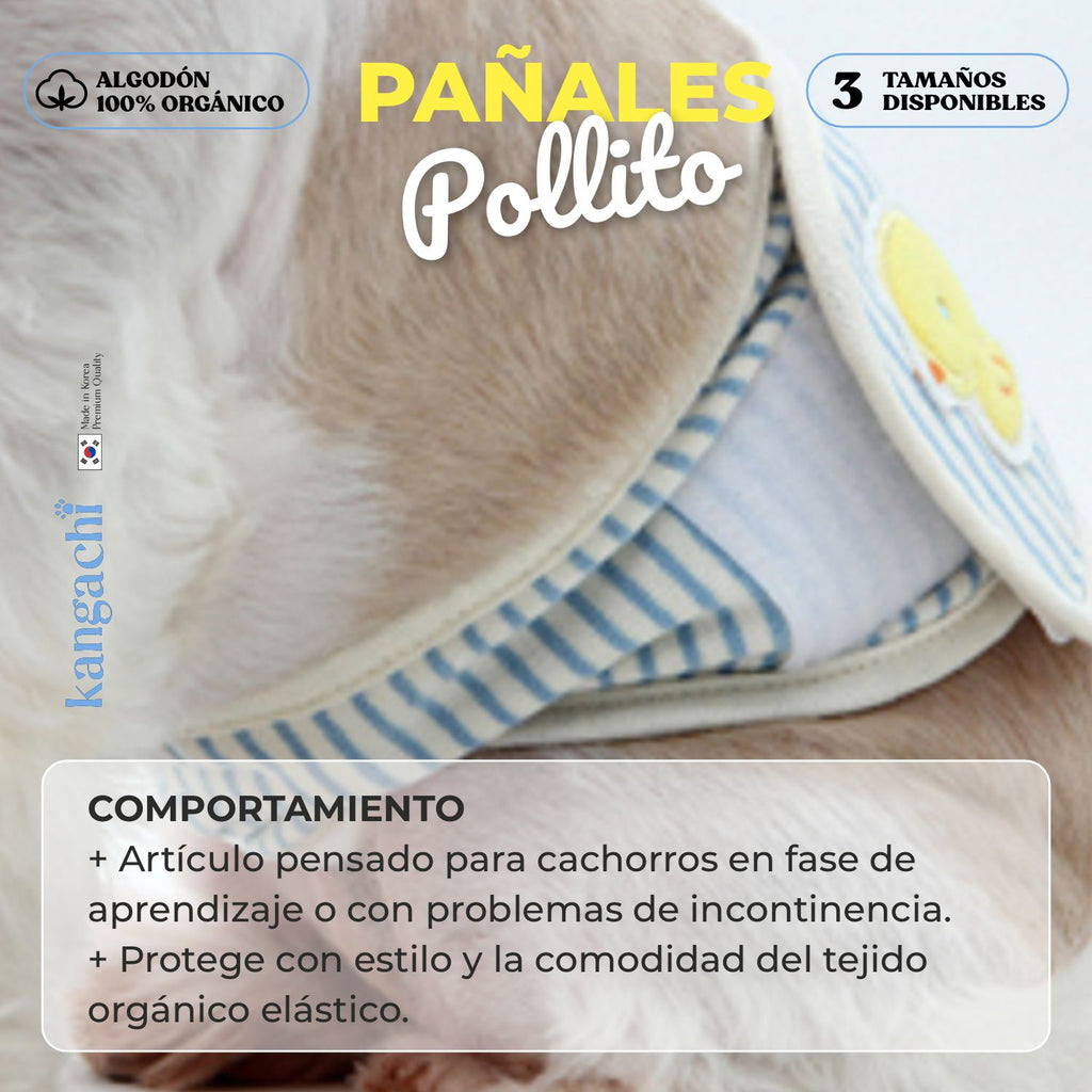 Pañal Orgánico Reutilizable para Perro Macho