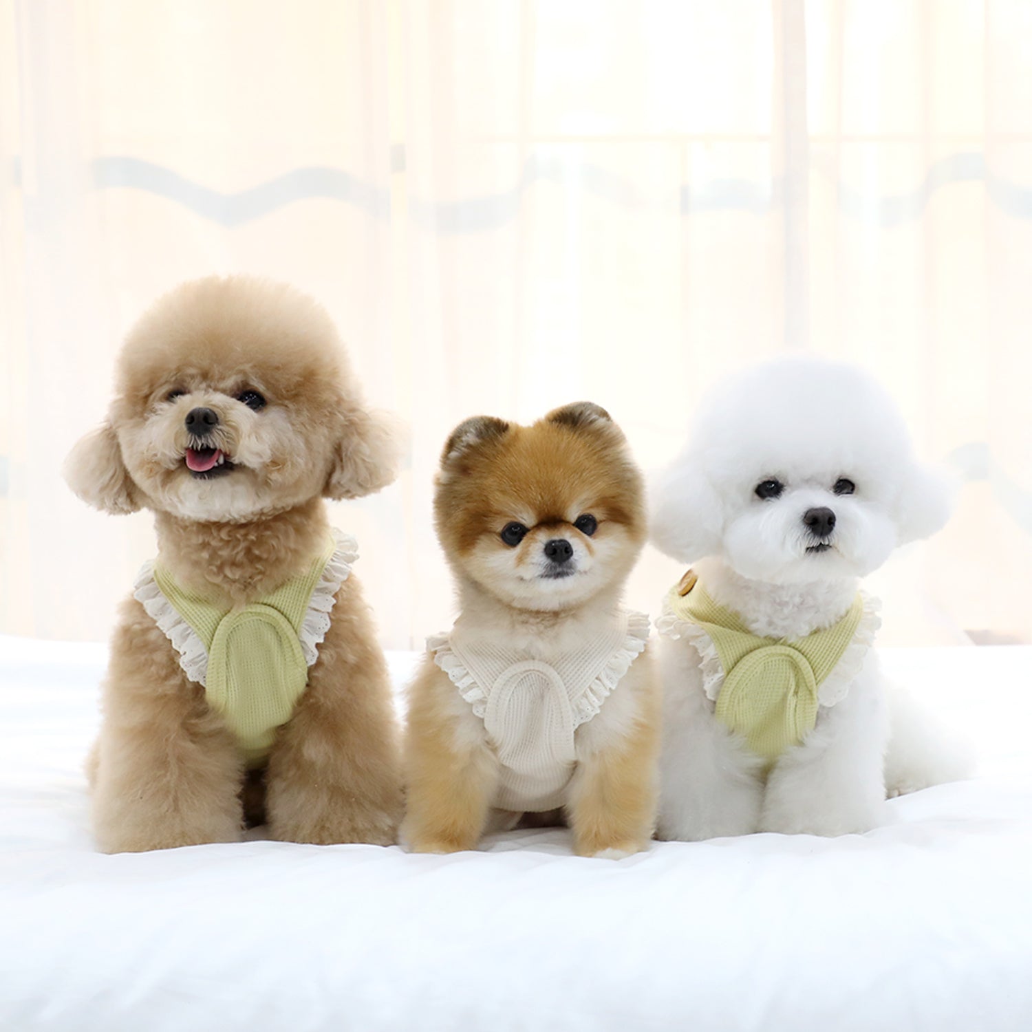Peto Beige de Punto para Perros con Bolsillo y Ardilla Bordada – Cálido, Suave