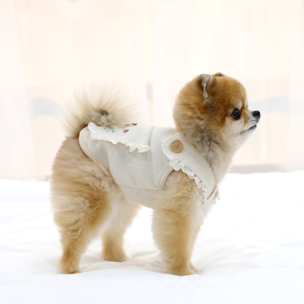 Peto Beige de Punto para Perros con Bolsillo y Ardilla Bordada – Cálido, Suave