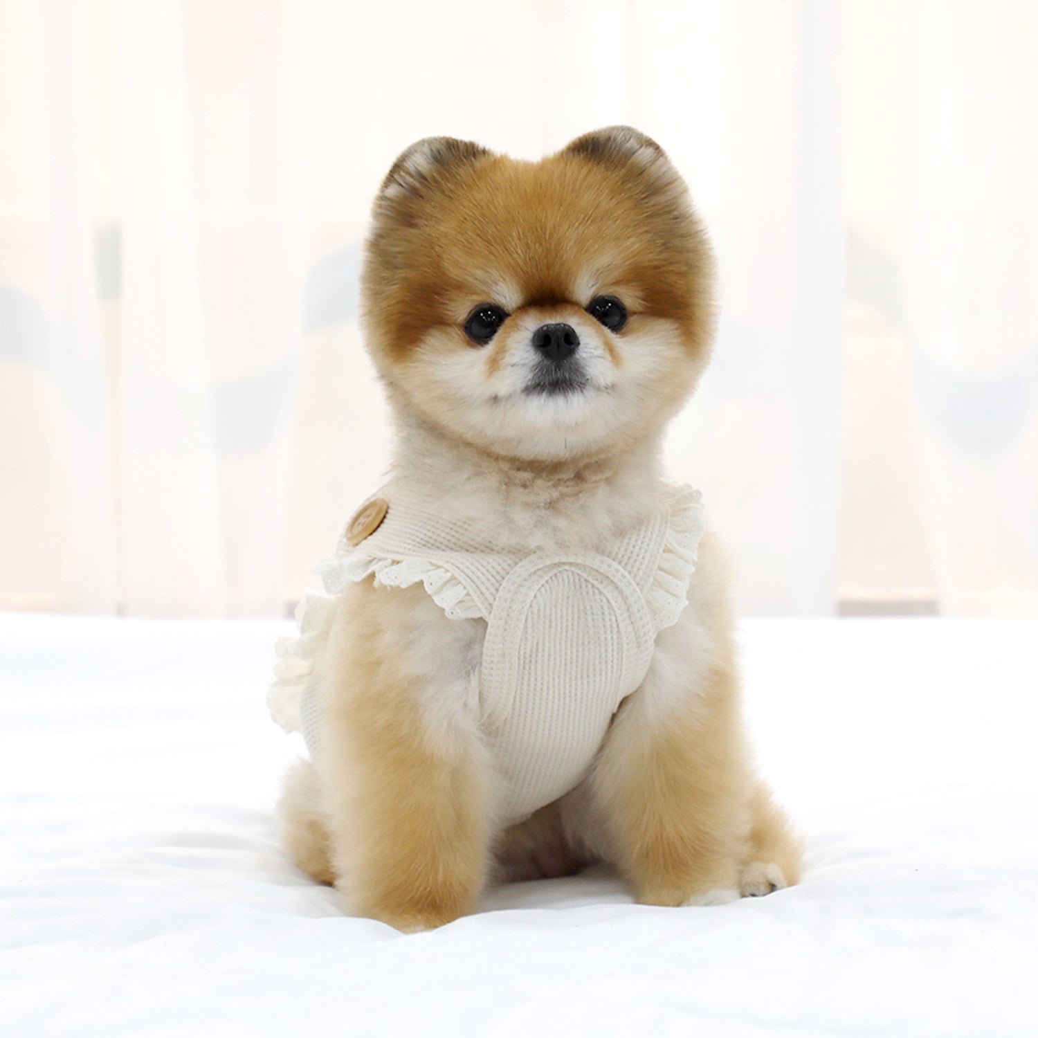Peto Beige de Punto para Perros con Bolsillo y Ardilla Bordada – Cálido, Suave