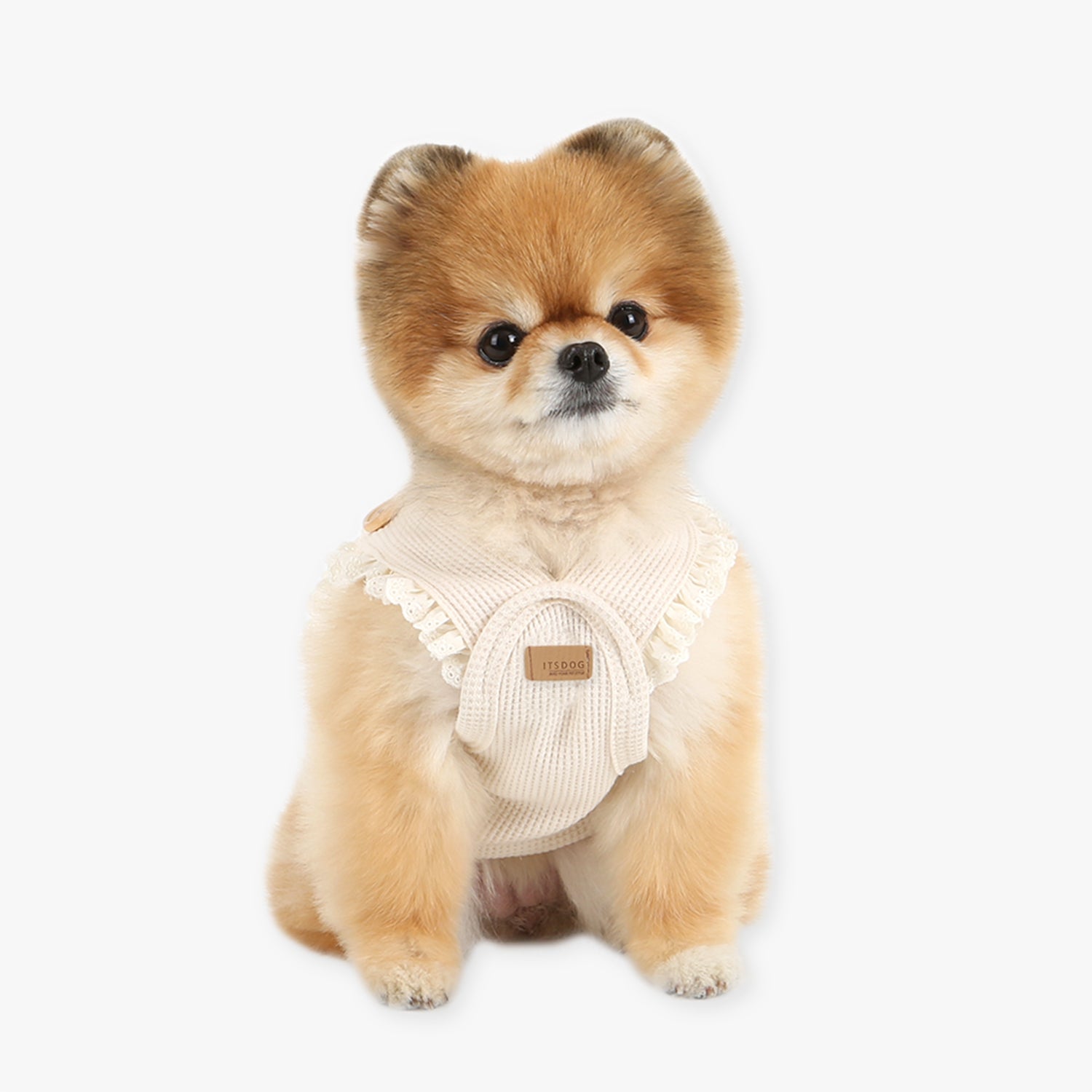 Peto Beige de Punto para Perros con Bolsillo y Ardilla Bordada – Cálido, Suave