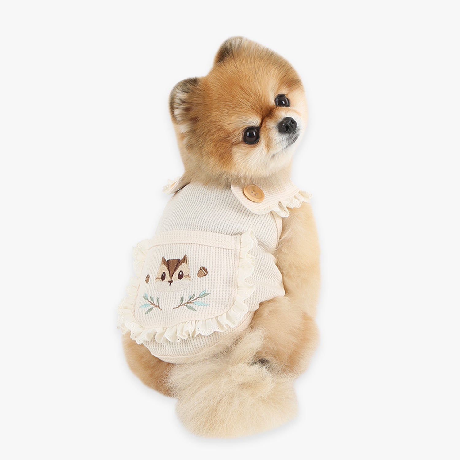 Peto Beige de Punto para Perros con Bolsillo y Ardilla Bordada – Cálido, Suave