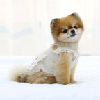 Peto Beige de Punto para Perros con Bolsillo y Ardilla Bordada – Cálido, Suave