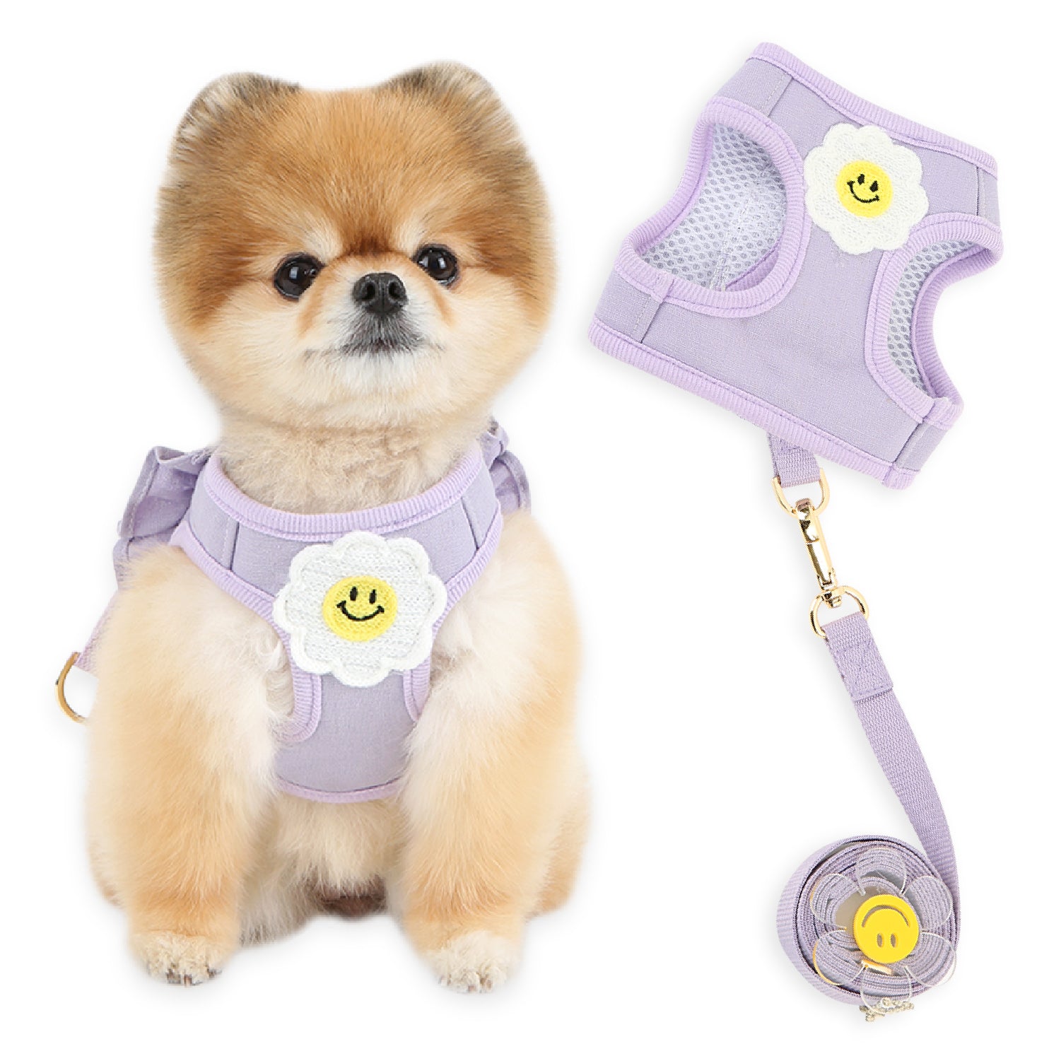 SET_ARNES_Y_CORREA_MARGARITA_VIOLETA_PERRO_PEQUENO1
