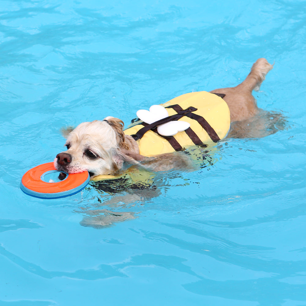 Salvavidas flotante seguro abeja perro pequeño