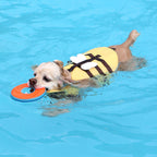 Salvavidas flotante seguro abeja perro pequeño
