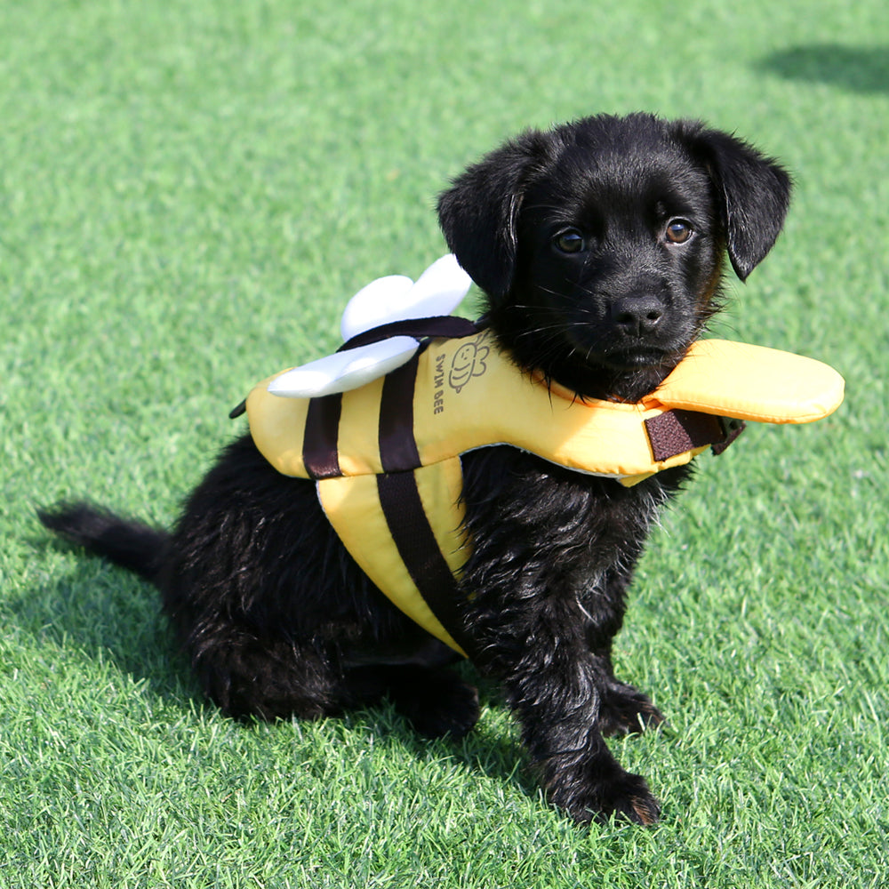 Salvavidas abeja perro pequeño flotante seguro