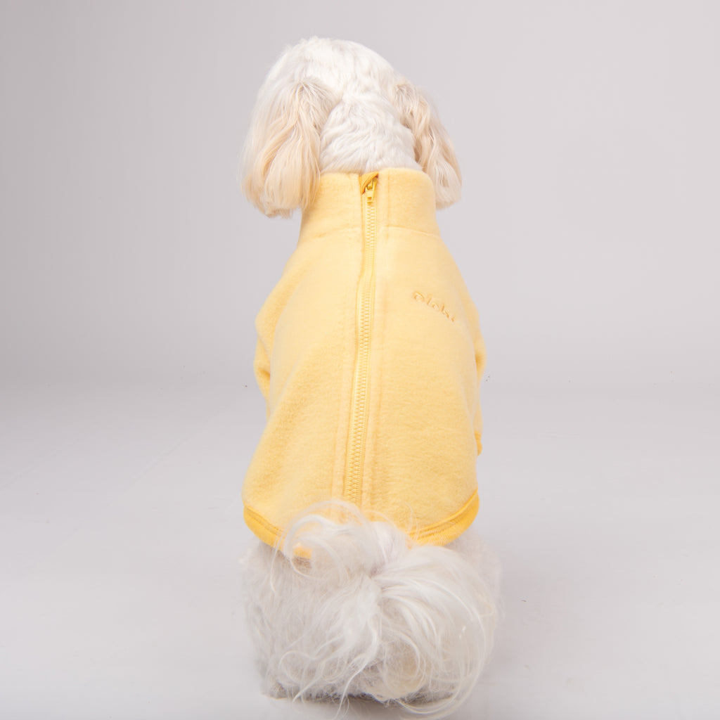 sudadera cremallera superior con cuello alto caliente y cómoda perros pequeños