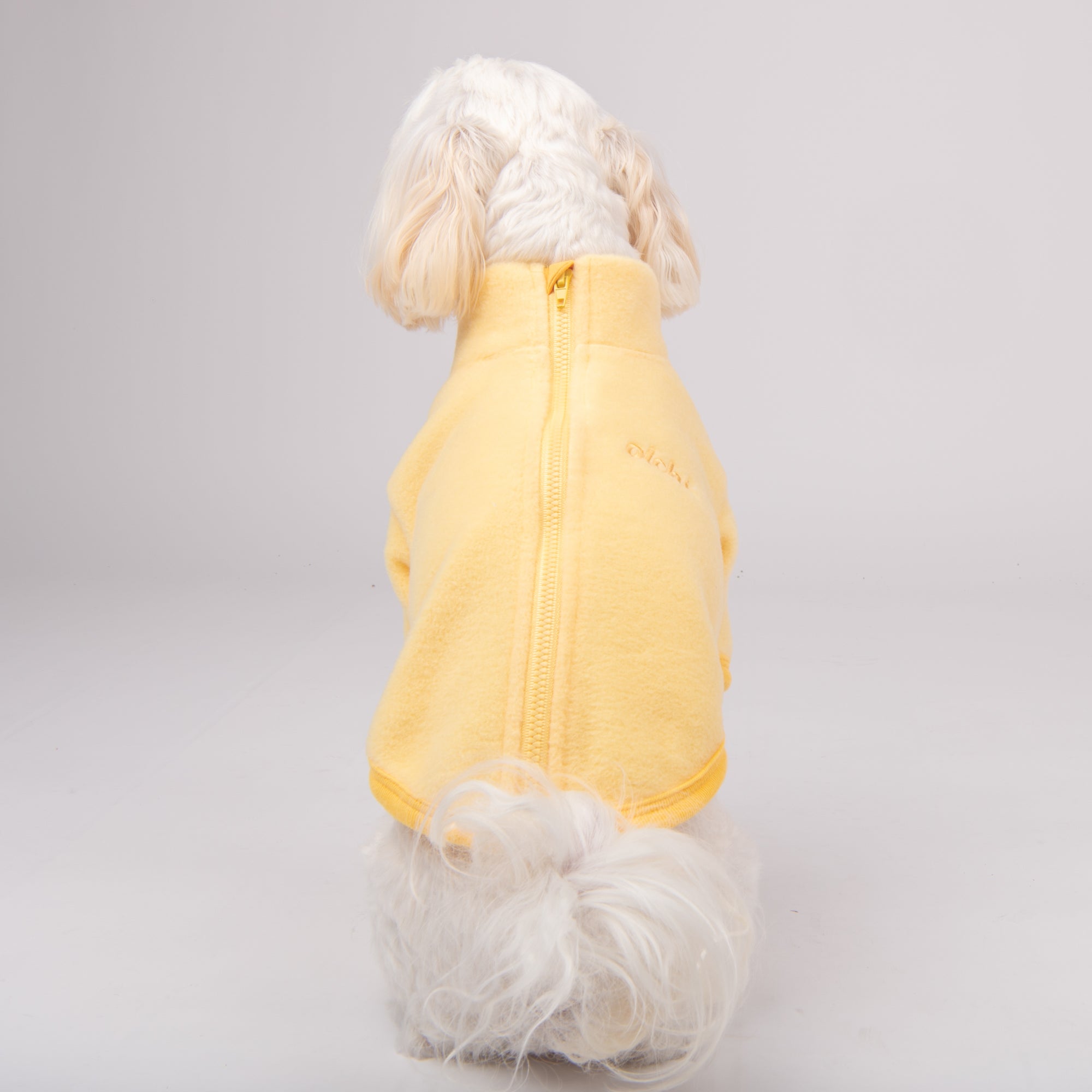 sudadera cremallera superior con cuello alto caliente y cómoda perros pequeños