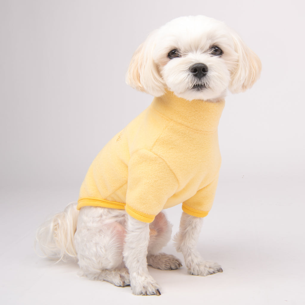 sudadera cremallera superior con cuello alto caliente y cómoda perros pequeños