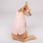 sudadera cremallera superior con cuello alto caliente y cómoda perros pequeños