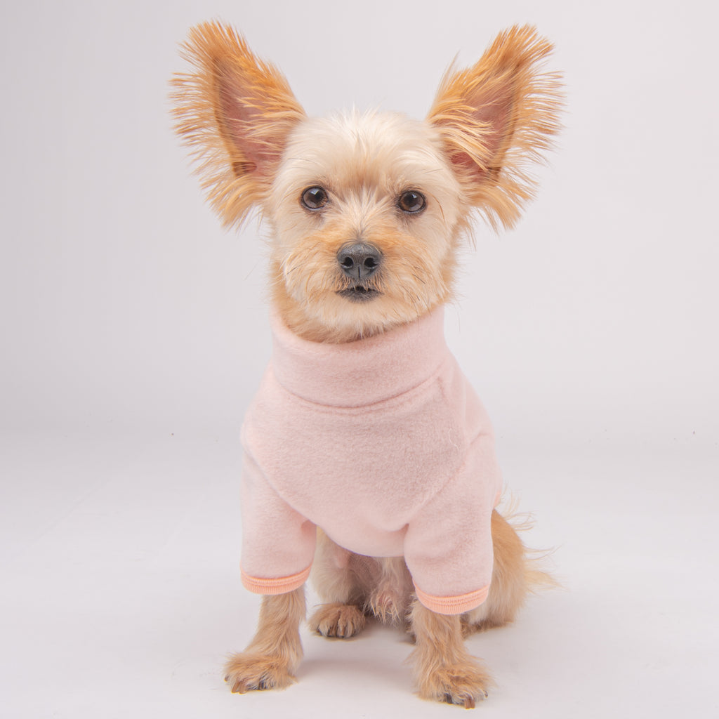 sudadera cremallera superior con cuello alto caliente y cómoda perros pequeños
