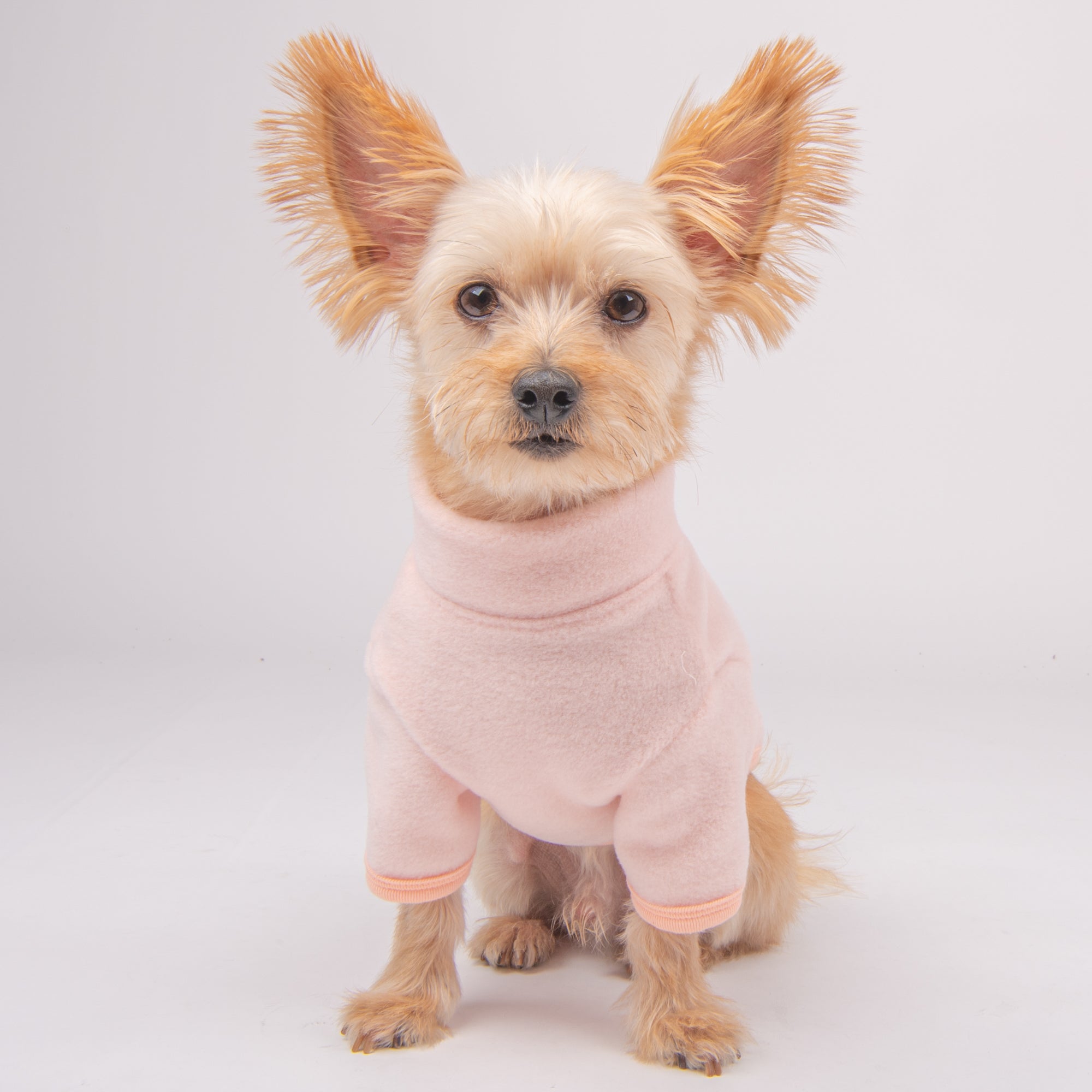 sudadera cremallera superior con cuello alto caliente y cómoda perros pequeños